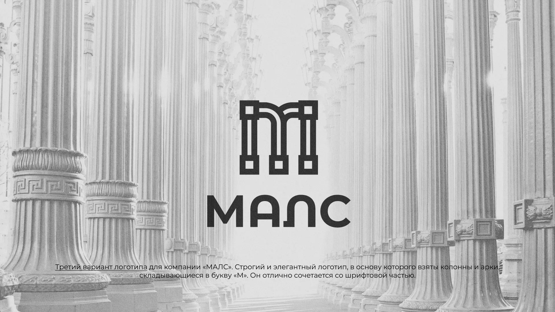 Разработка логотипа компании «МАЛС» в Зеленодольске