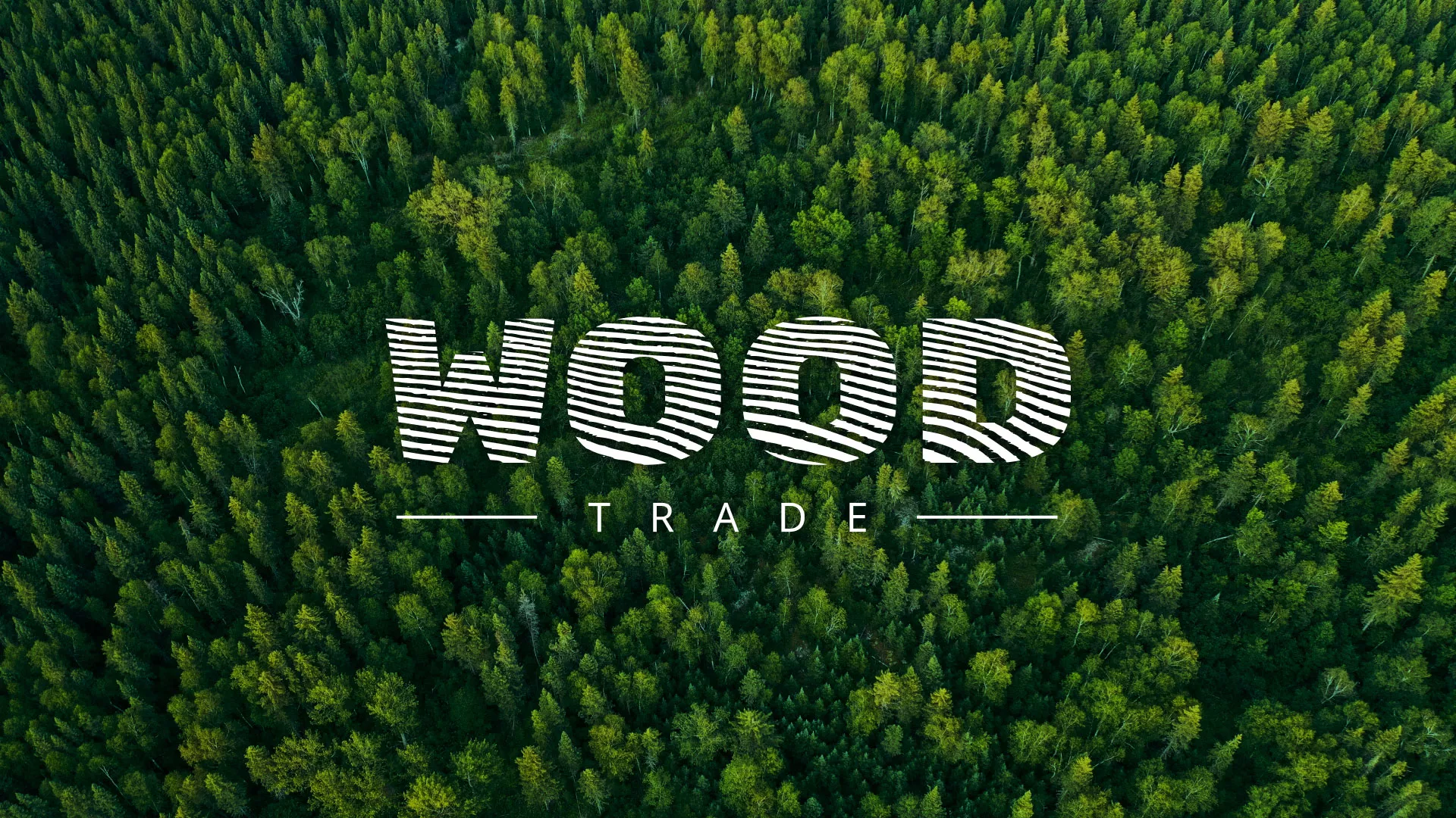 Разработка интернет-магазина компании «Wood Trade» в Зеленодольске