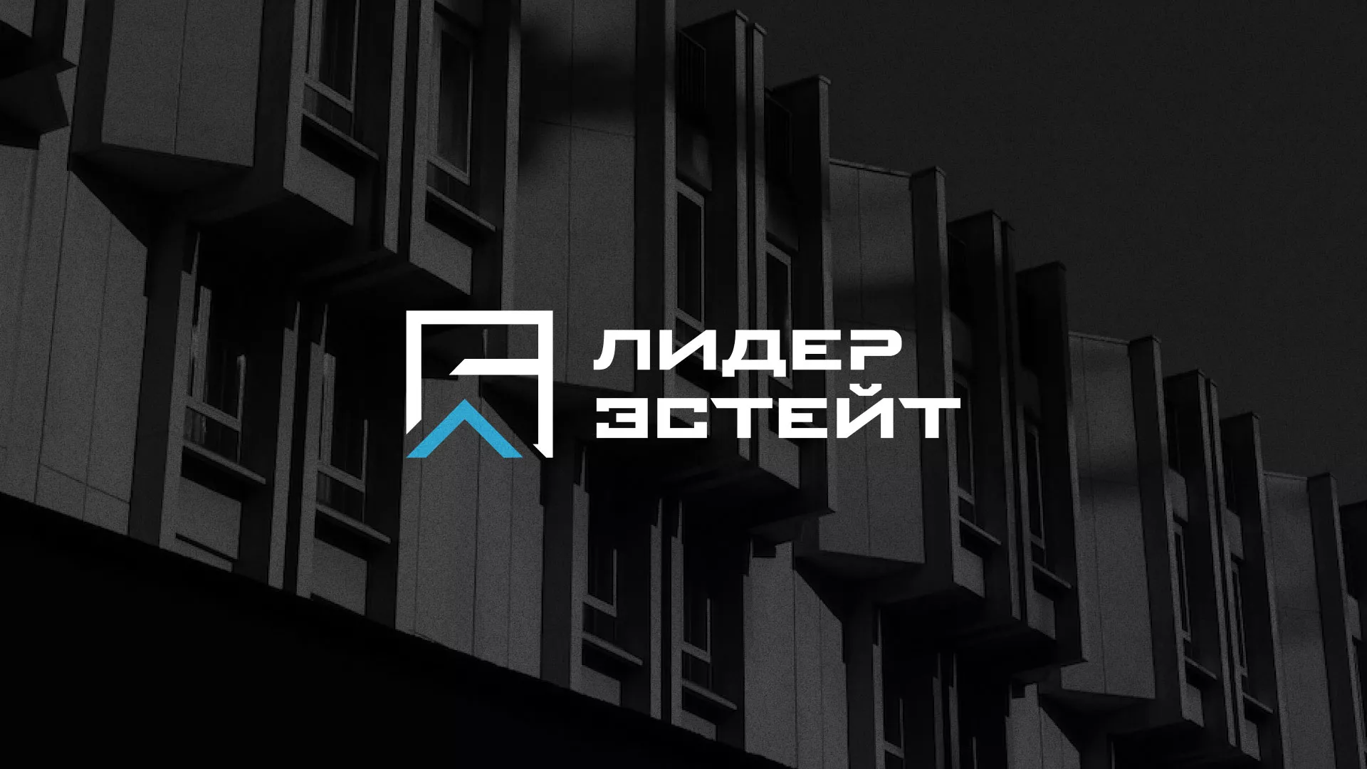 Разработка логотипа агентства недвижимости «Лидер Эстейт» в Зеленодольске